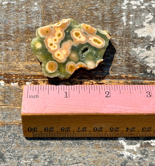 Gorgeous Authentic Ocean Jasper Mini Slab