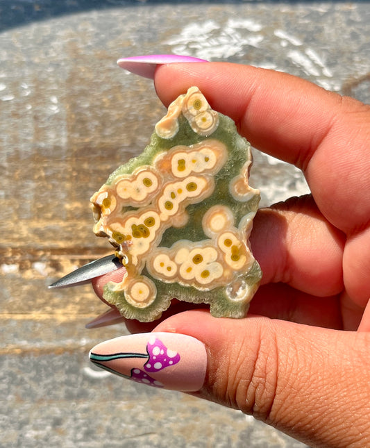 Gorgeous Authentic Ocean Jasper Mini Slab