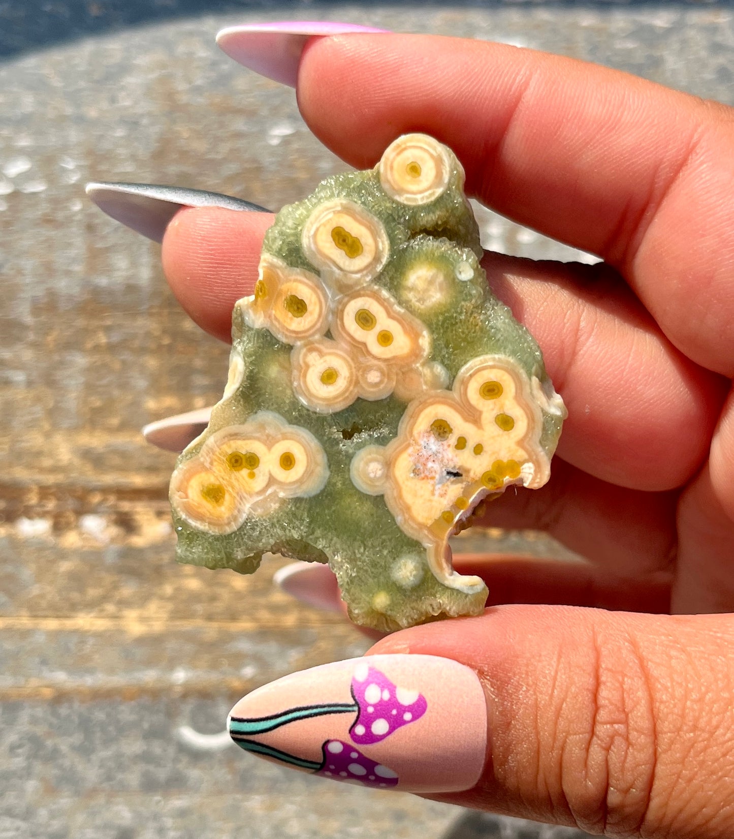 Gorgeous Authentic Ocean Jasper Mini Slab