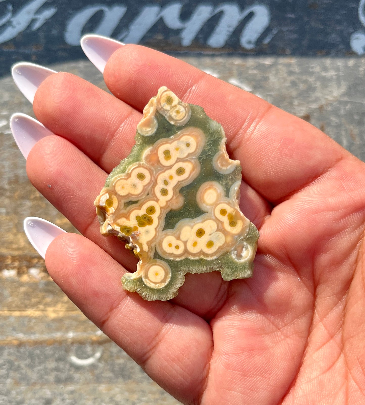 Gorgeous Authentic Ocean Jasper Mini Slab