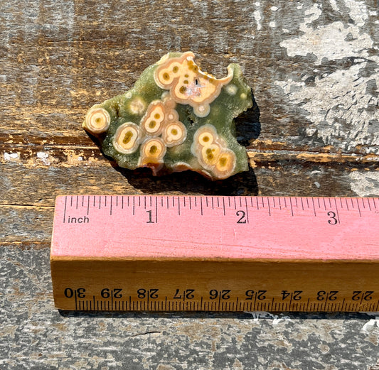 Gorgeous Authentic Ocean Jasper Mini Slab