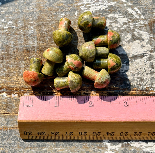 One (1) Adorable Mini Unakite Mushroom