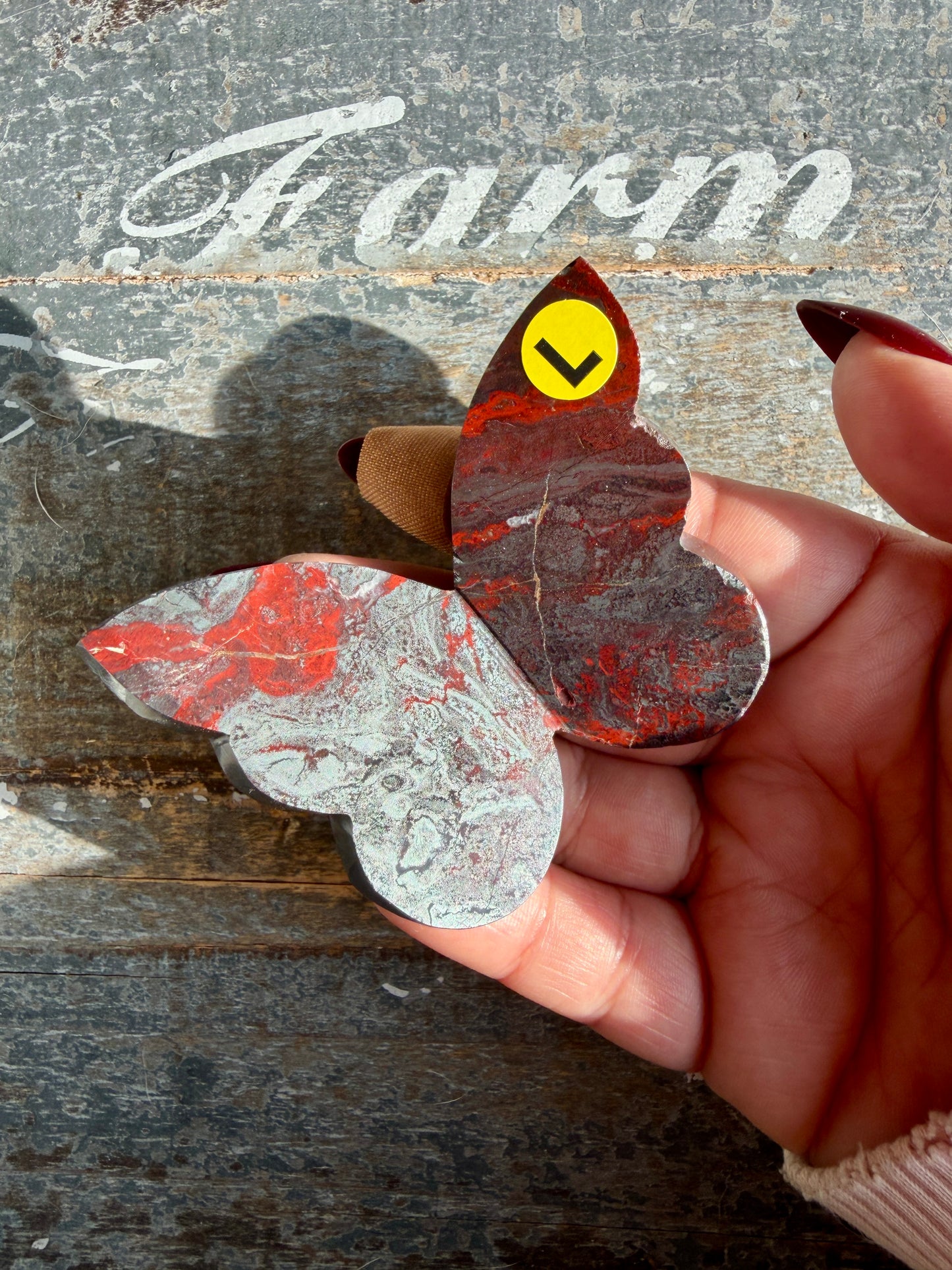 Gorgeous Jaspilite (Jasper + Hematite) 3D Butterfly | Opt L