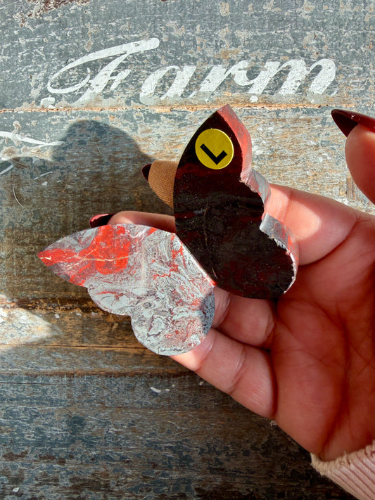 Gorgeous Jaspilite (Jasper + Hematite) 3D Butterfly | Opt L