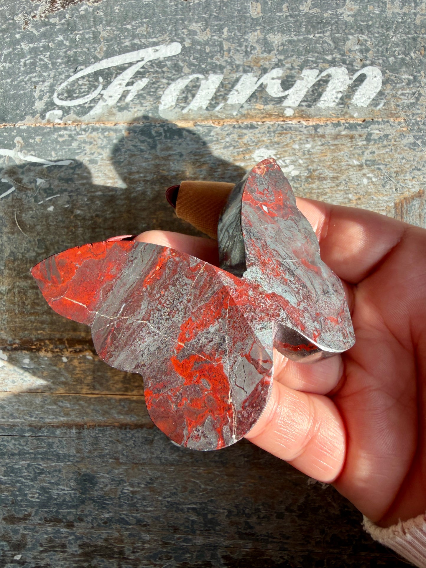 Gorgeous Jaspilite (Jasper + Hematite) 3D Butterfly | Opt L