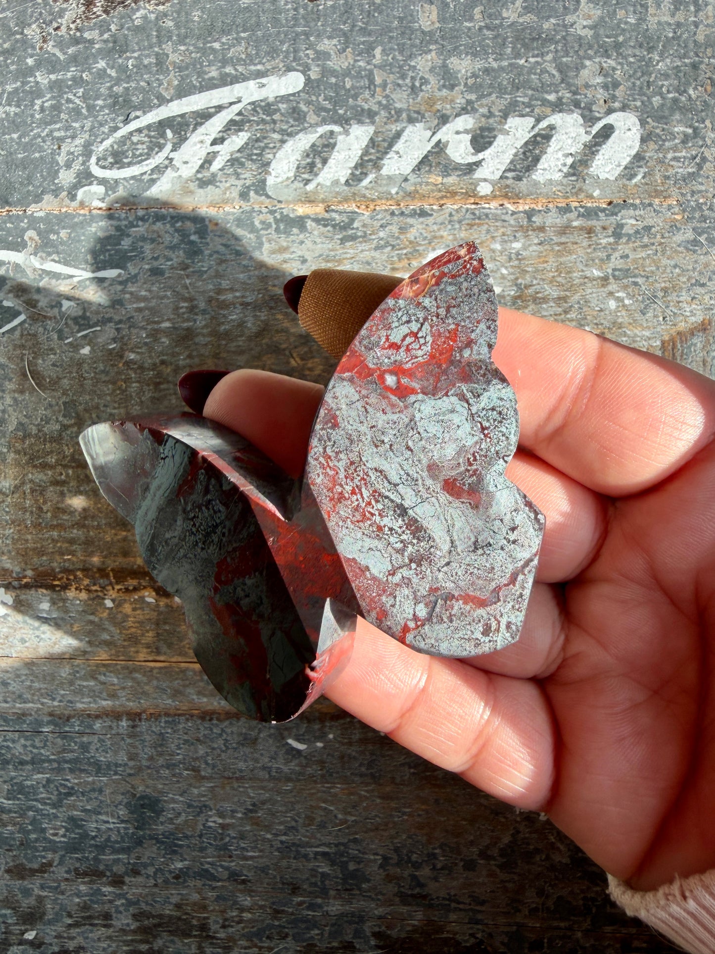 Gorgeous Jaspilite (Jasper + Hematite) 3D Butterfly | Opt L