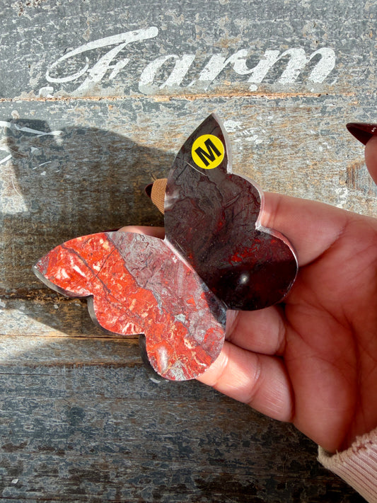 Gorgeous Jaspilite (Jasper + Hematite) 3D Butterfly | Opt M