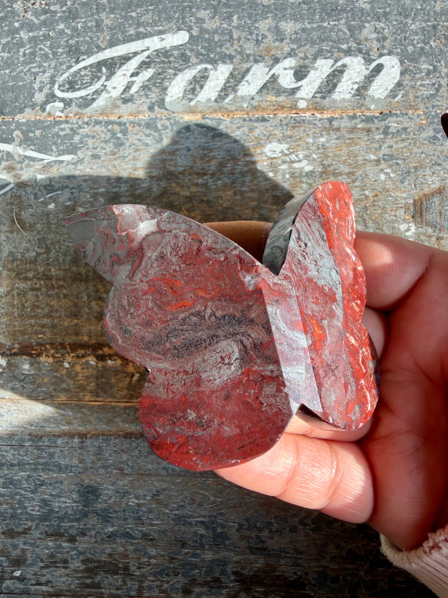 Gorgeous Jaspilite (Jasper + Hematite) 3D Butterfly | Opt M