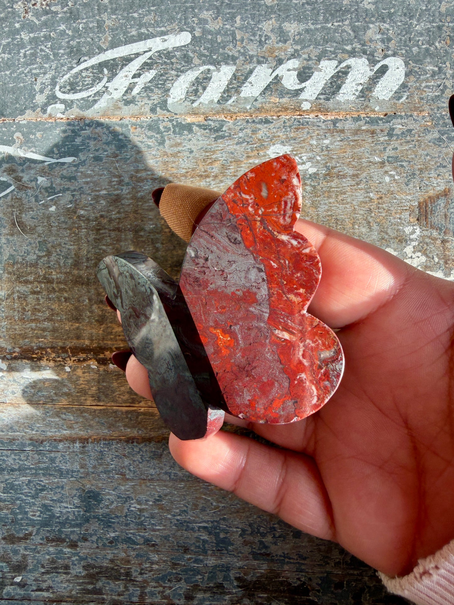 Gorgeous Jaspilite (Jasper + Hematite) 3D Butterfly | Opt M