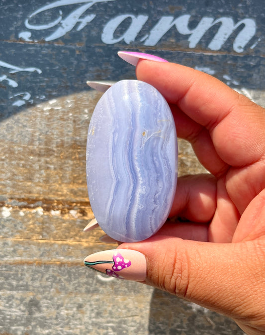 Gorgeous Blue Lace Agate Palm Stone