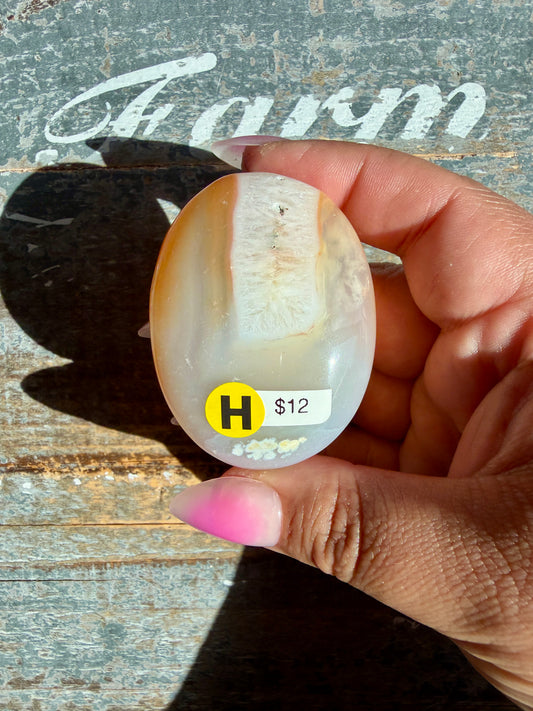 Gorgeous Carnelian/Agate Palm Stone from India | Opt H