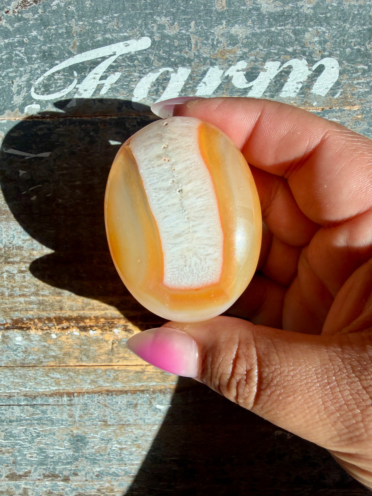 Gorgeous Carnelian/Agate Palm Stone from India | Opt H