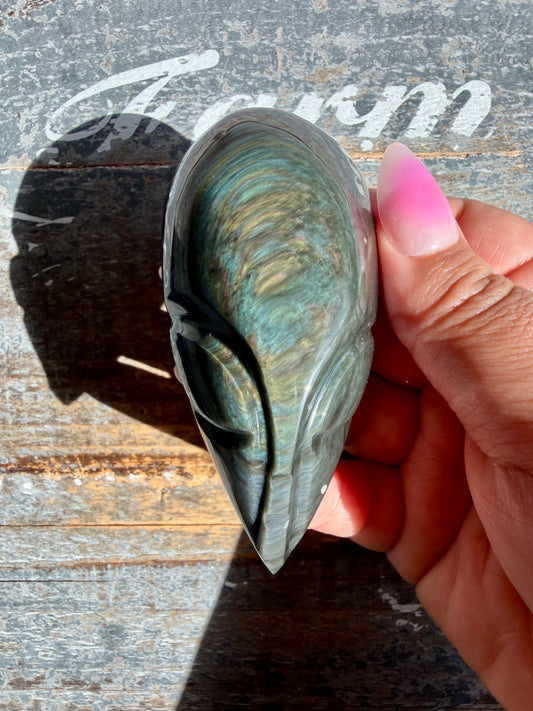 Gorgeous Velvet Obsidian Alien Head | Opt H