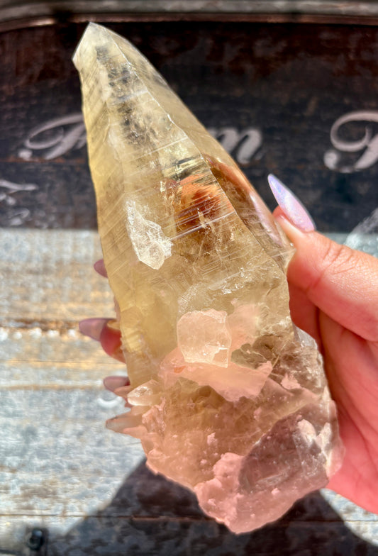 Gorgeous Tessin Habit Citrine Raw Point from the Swiss Alps