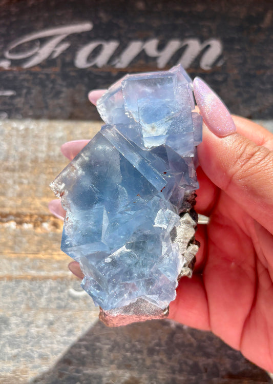 Gorgeous Cubic Blue Fluorite from China *Collectors Piece*