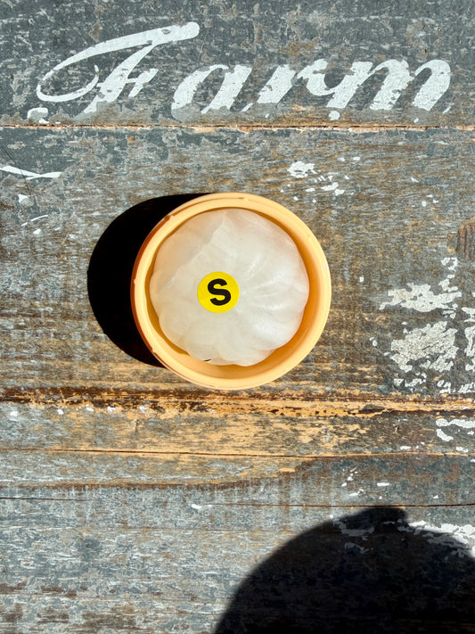 Adorable White Onyx Dumpling in Steamer | Opt S