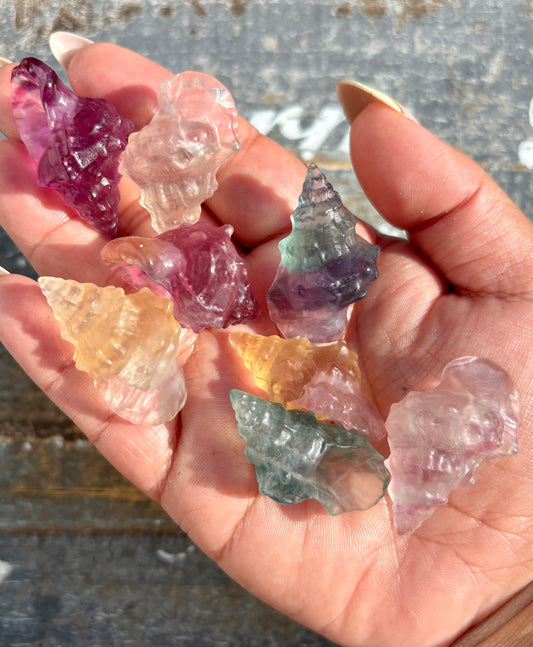 One (1) Rainbow Fluorite Shell | Intuitively Chosen