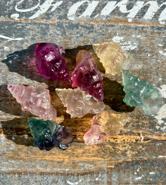 One (1) Rainbow Fluorite Shell | Intuitively Chosen