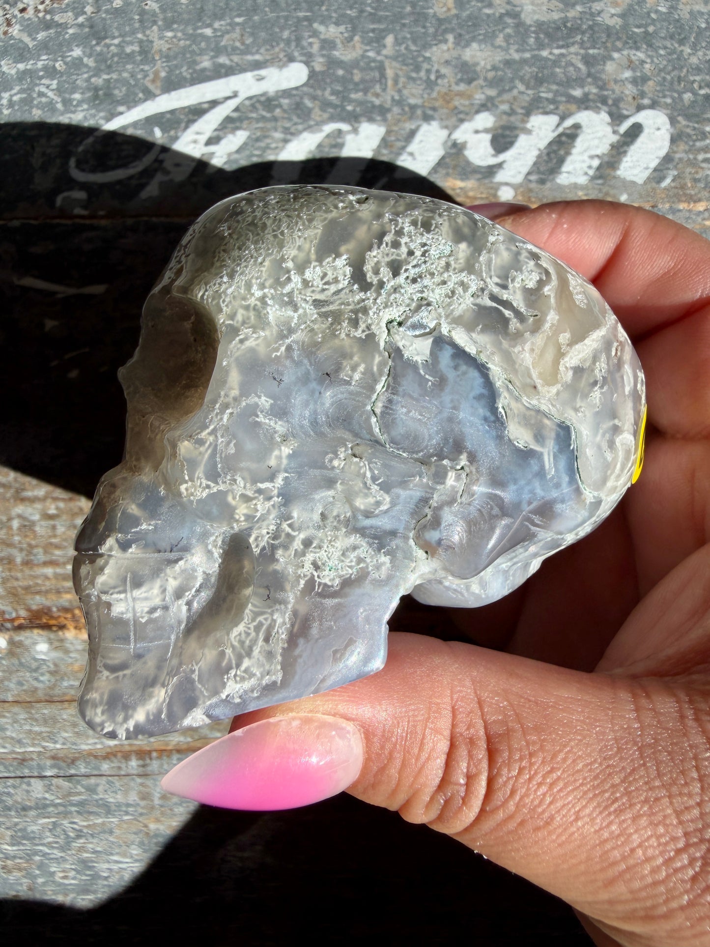 Moss Agate Skull | Opt O