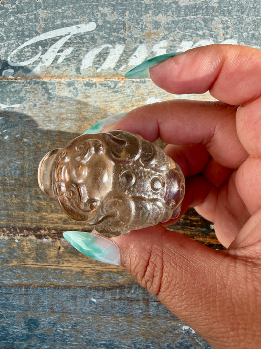 Gorgeous Dark Smokey Quartz Money Toad | Opt W