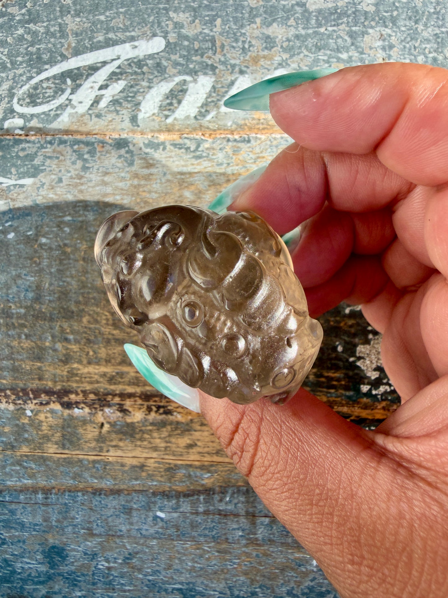 Gorgeous Dark Smokey Quartz Money Toad | Opt W