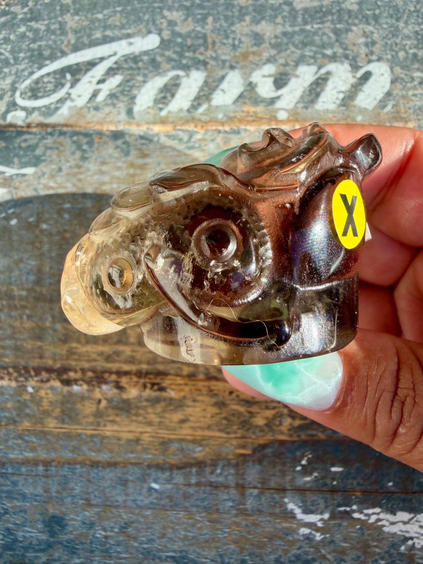 Gorgeous Dark Smokey Quartz Money Toad | Opt X