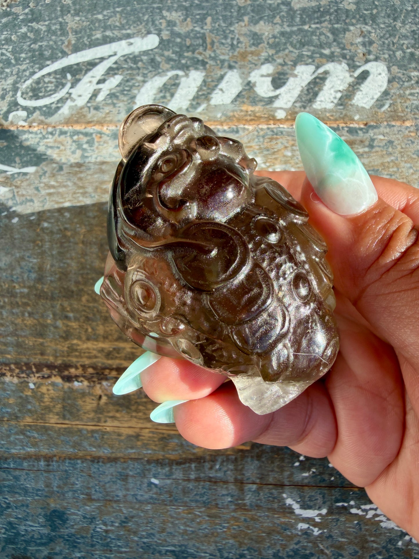 Gorgeous Dark Smokey Quartz Money Toad | Opt X