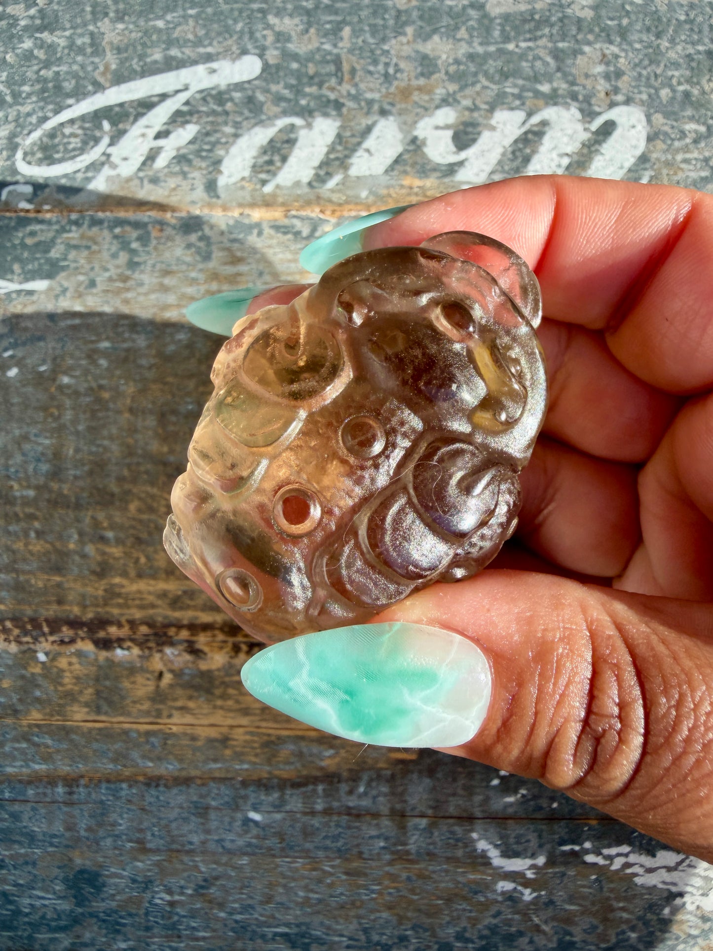 Gorgeous Dark Smokey Quartz Money Toad | Opt S