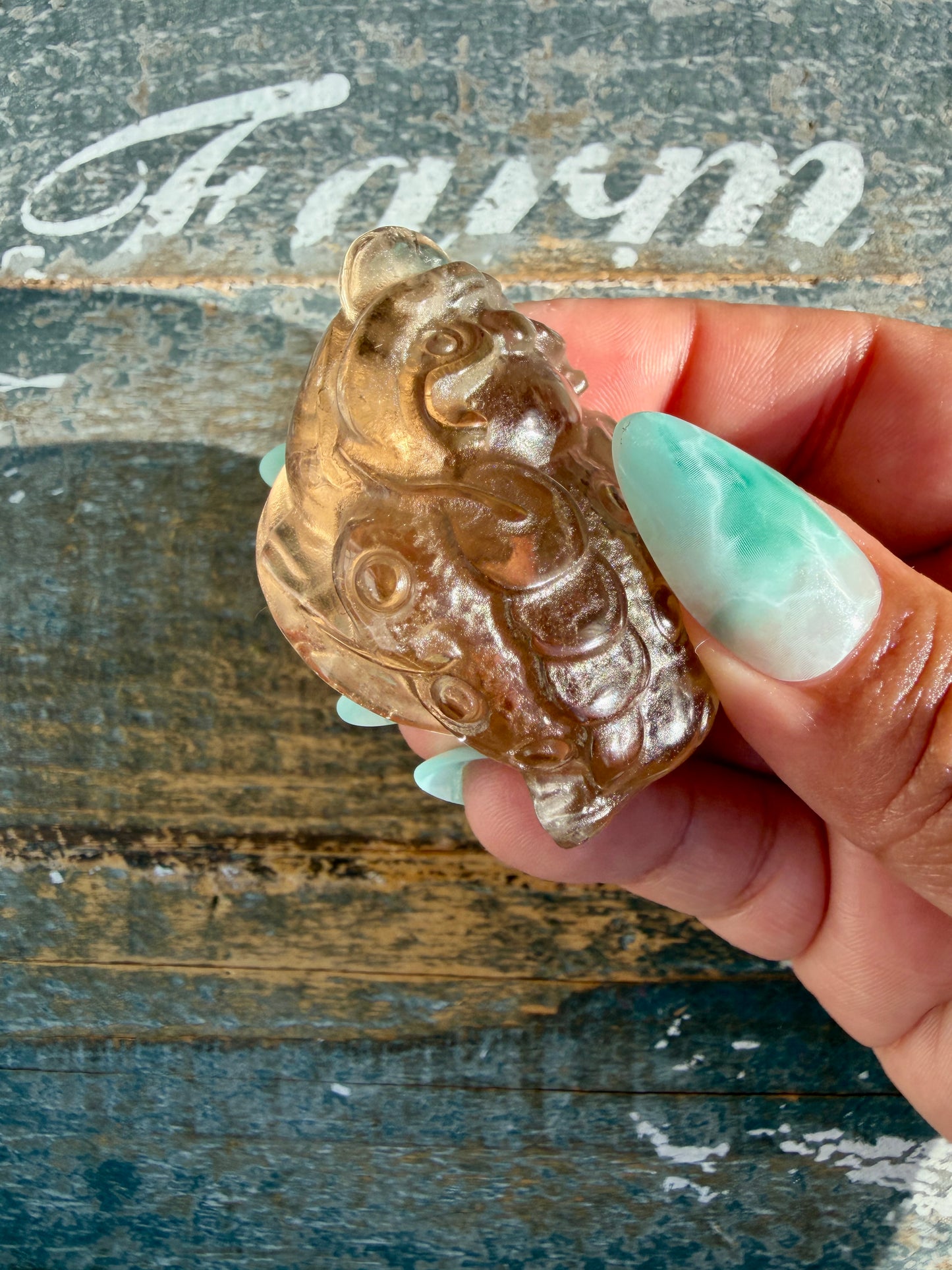 Gorgeous Dark Smokey Quartz Money Toad | Opt S