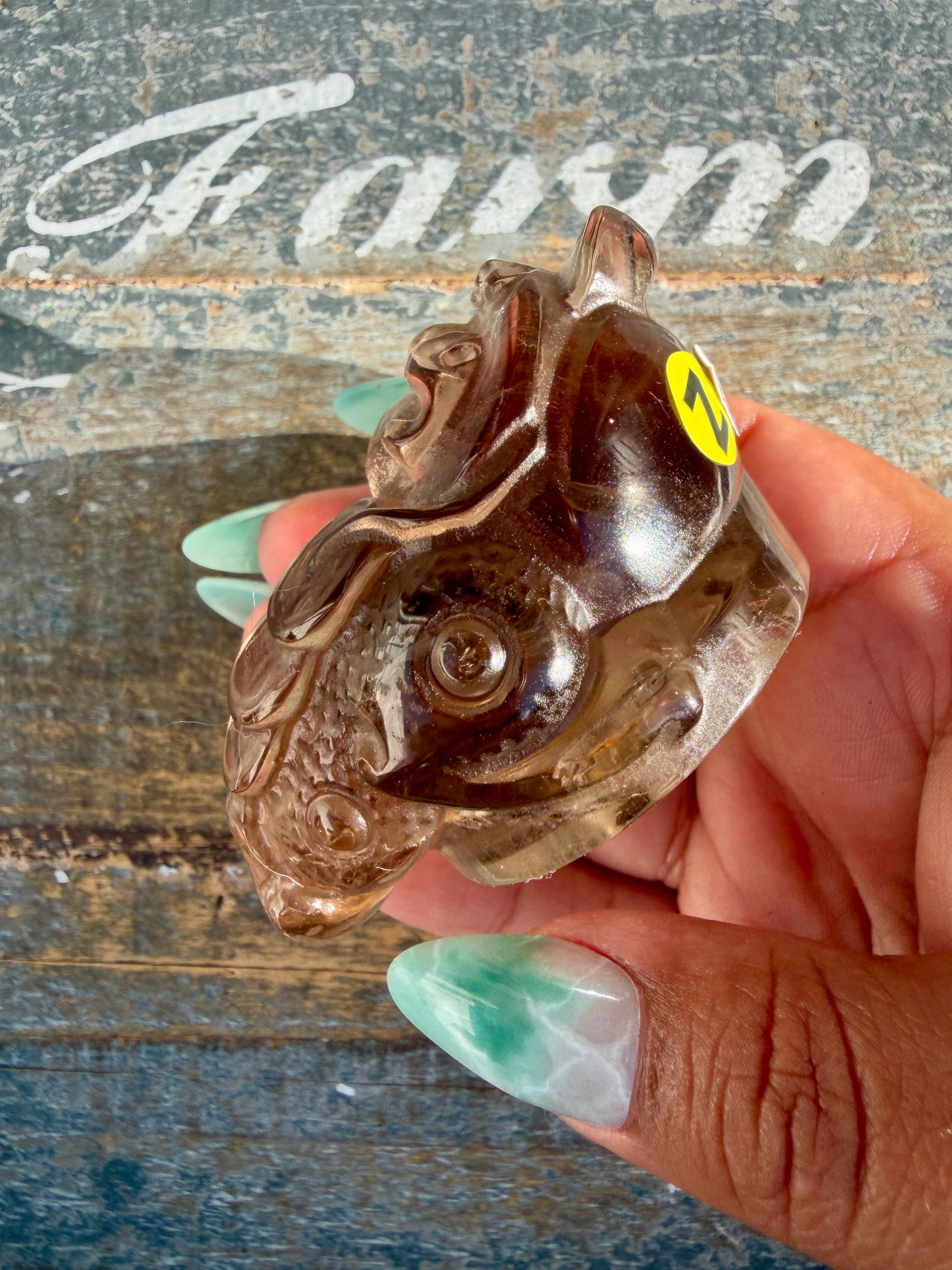 Gorgeous Dark Smokey Quartz Money Toad | Opt Z