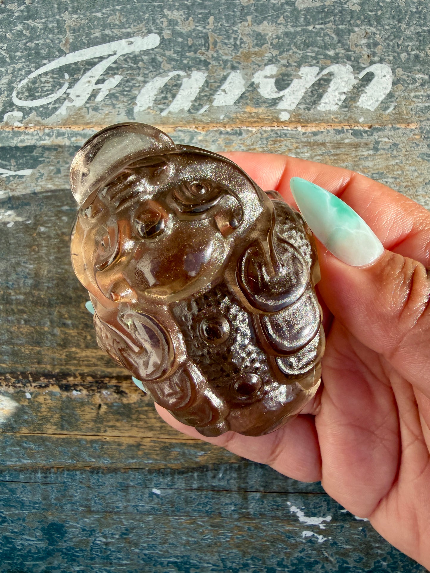Gorgeous Dark Smokey Quartz Money Toad | Opt Z