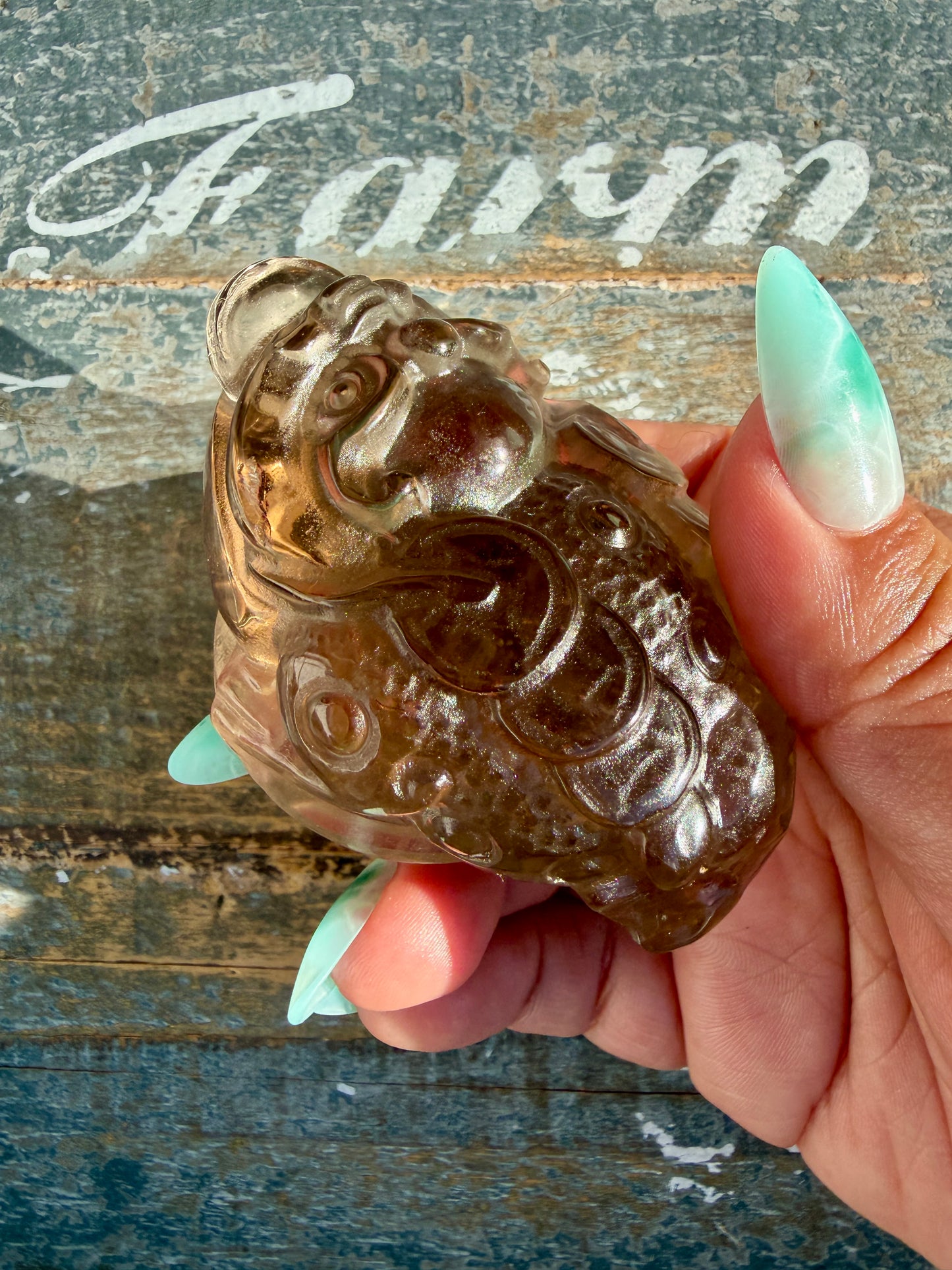 Gorgeous Dark Smokey Quartz Money Toad | Opt Z