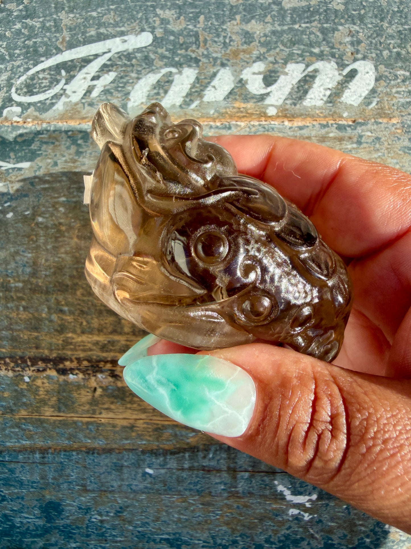 Gorgeous Dark Smokey Quartz Money Toad | Opt Z
