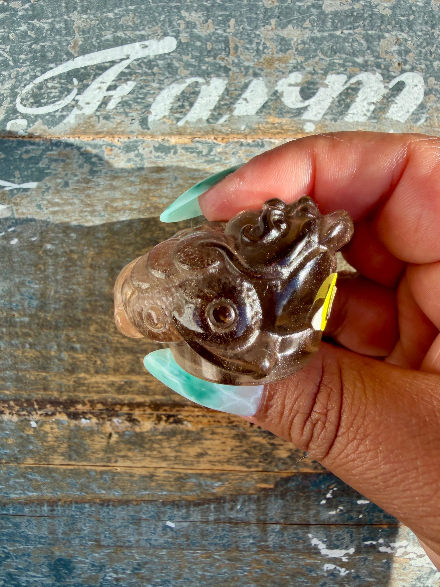 Gorgeous Dark Smokey Quartz Money Toad | Opt U