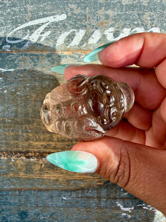 Gorgeous Dark Smokey Quartz Money Toad | Opt U