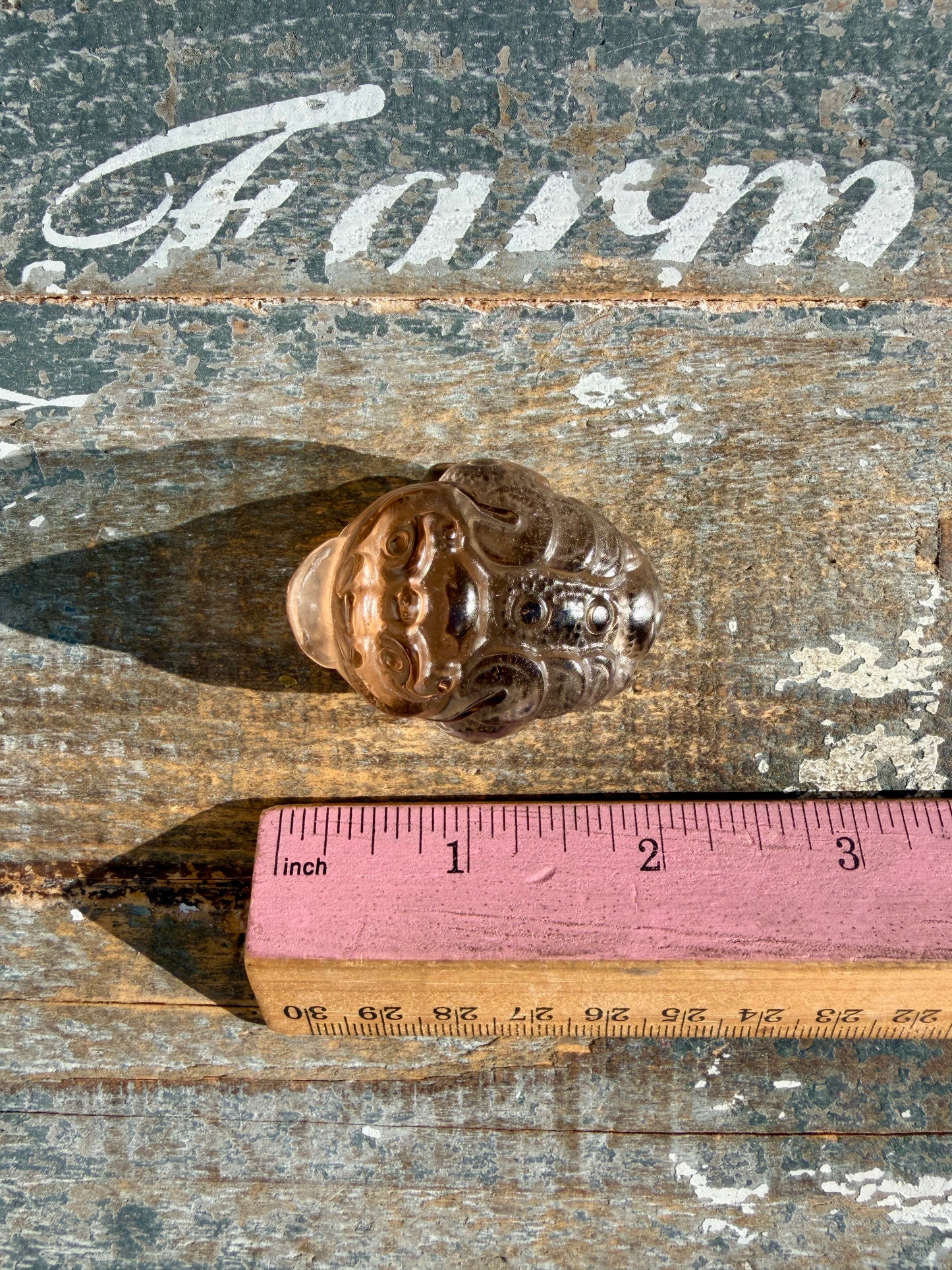 Gorgeous Dark Smokey Quartz Money Toad | Opt U
