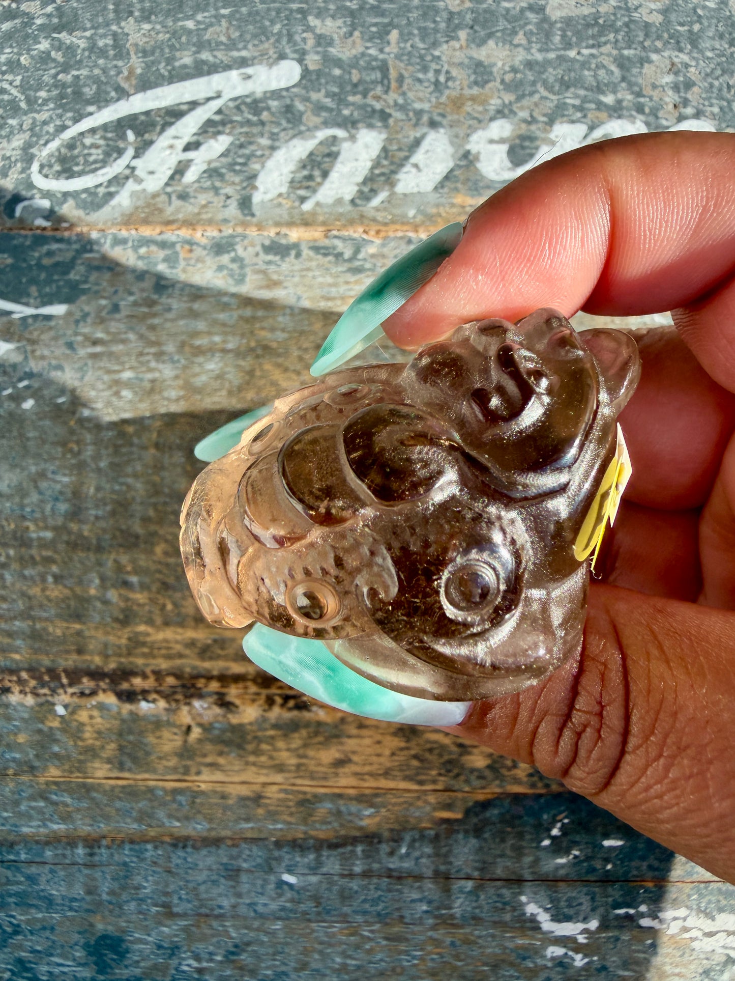 Gorgeous Dark Smokey Quartz Money Toad | Opt R
