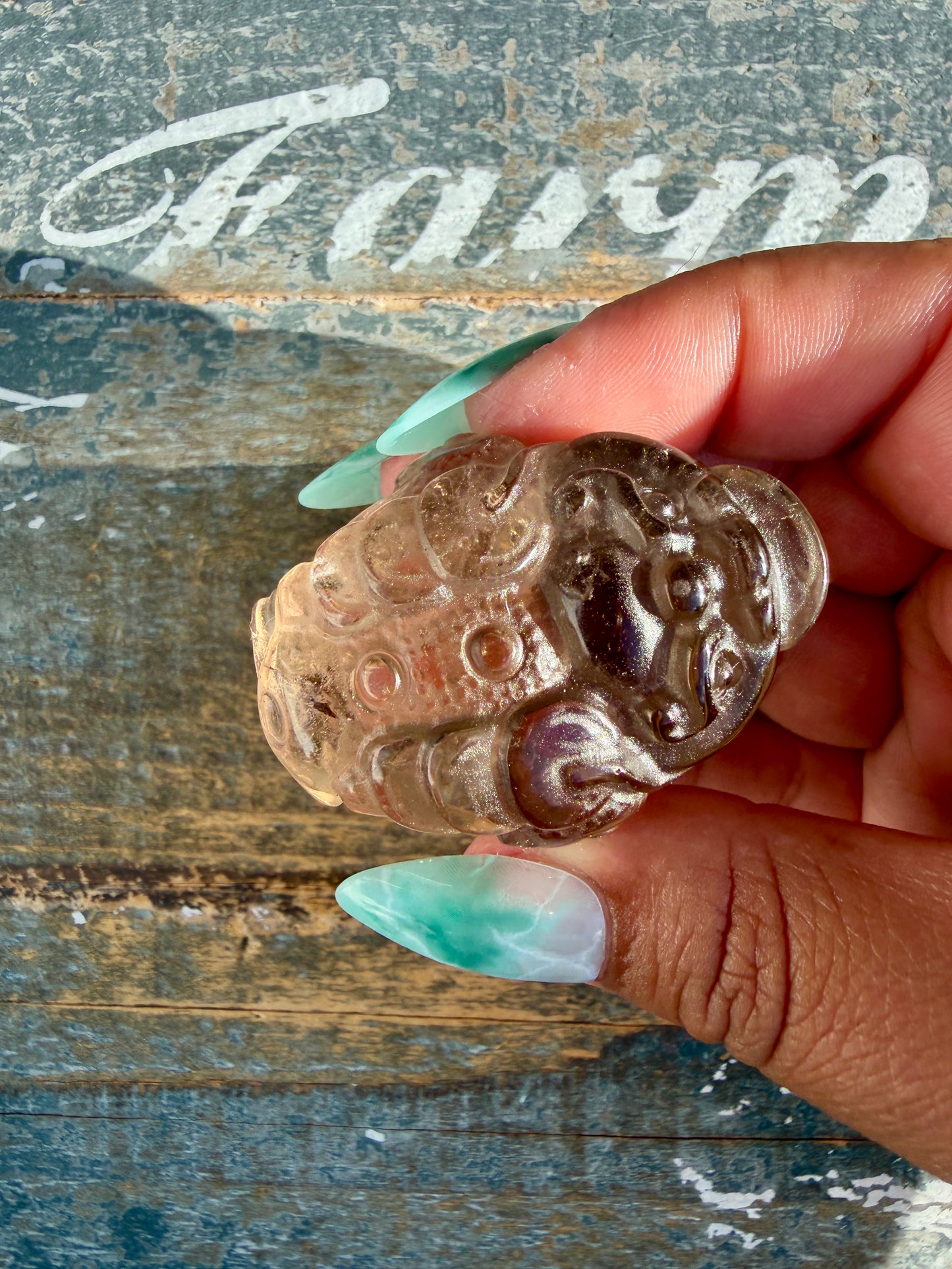 Gorgeous Dark Smokey Quartz Money Toad | Opt R