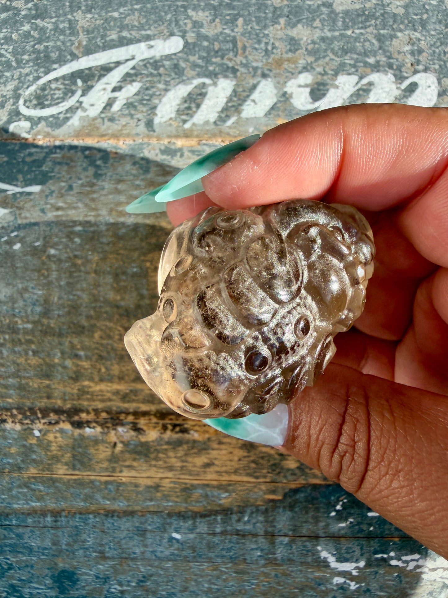 Gorgeous Dark Smokey Quartz Money Toad | Opt R