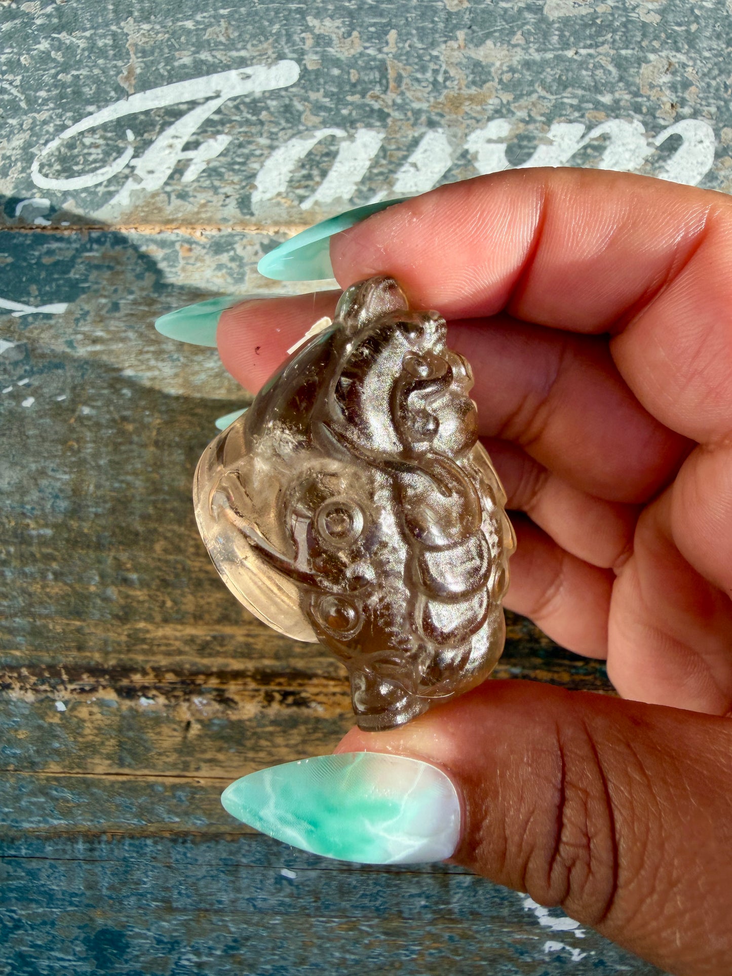 Gorgeous Dark Smokey Quartz Money Toad | Opt R