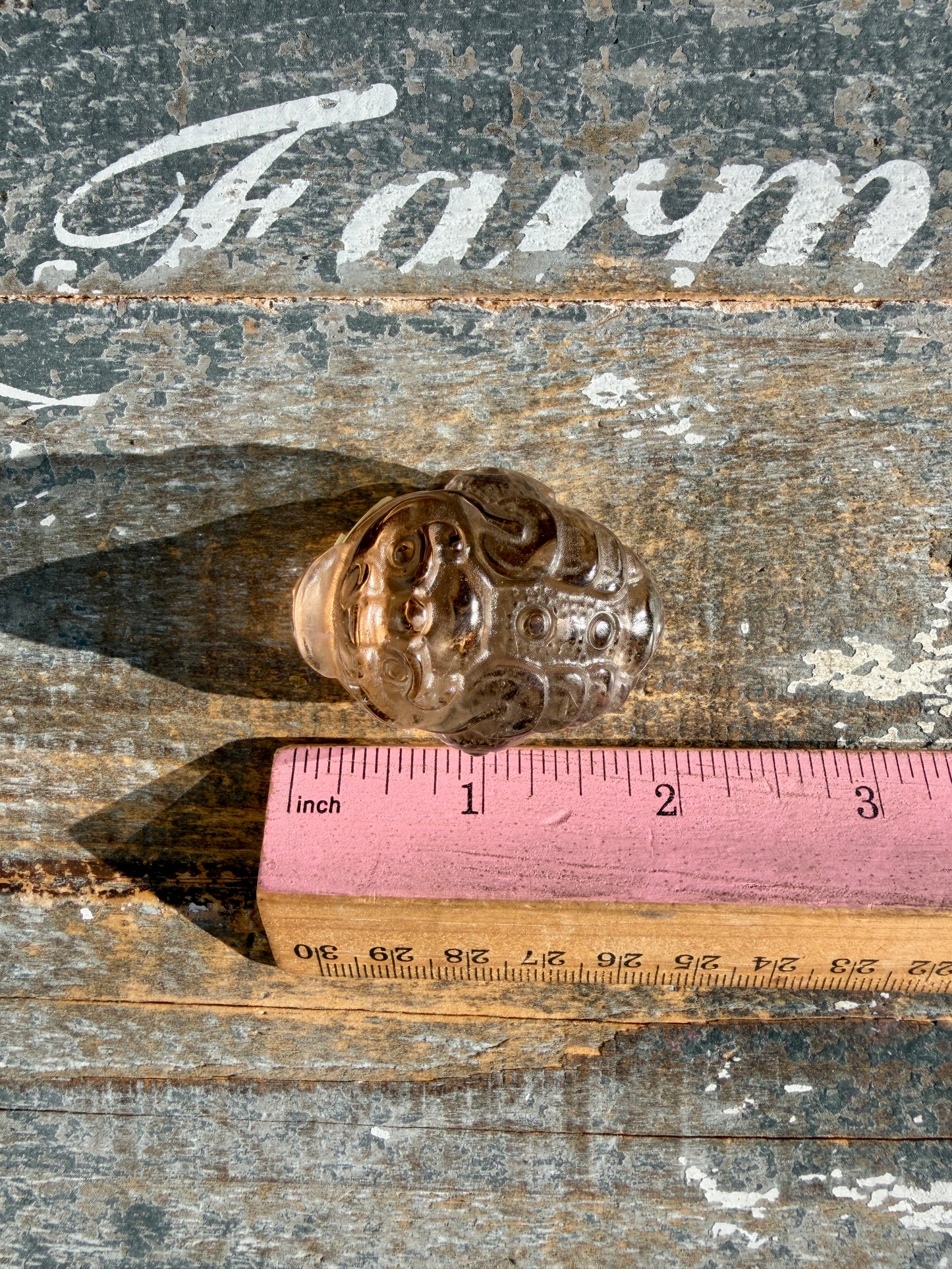 Gorgeous Dark Smokey Quartz Money Toad | Opt R