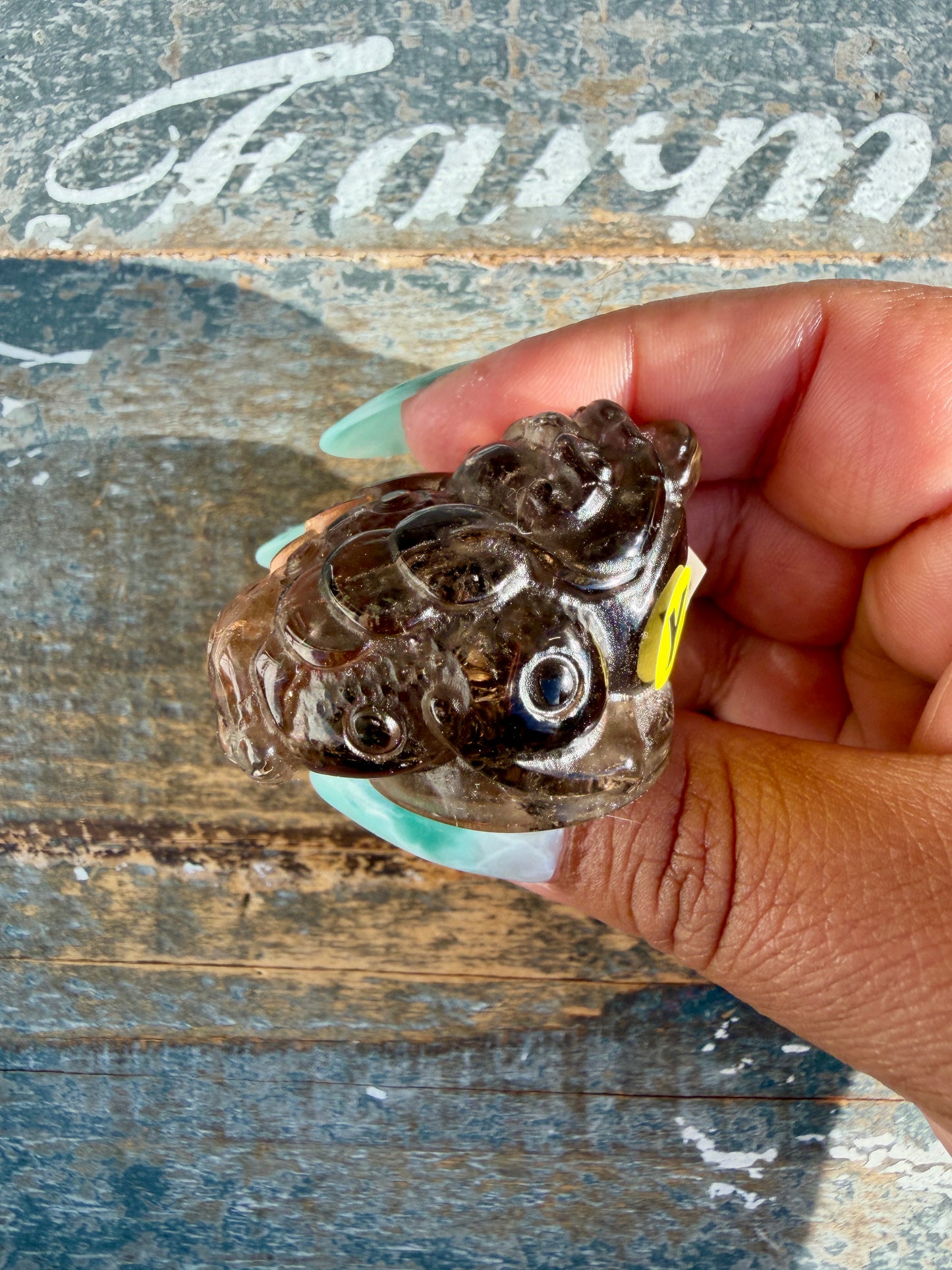 Gorgeous Dark Smokey Quartz Money Toad | Opt Y