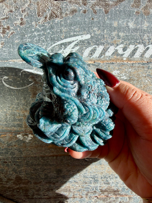 Gorgeous Ruby in Kyanite Money Toad - Only One