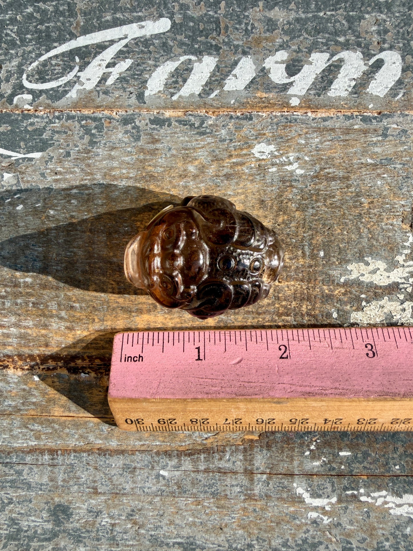 Gorgeous Dark Smokey Quartz Money Toad | Opt Y