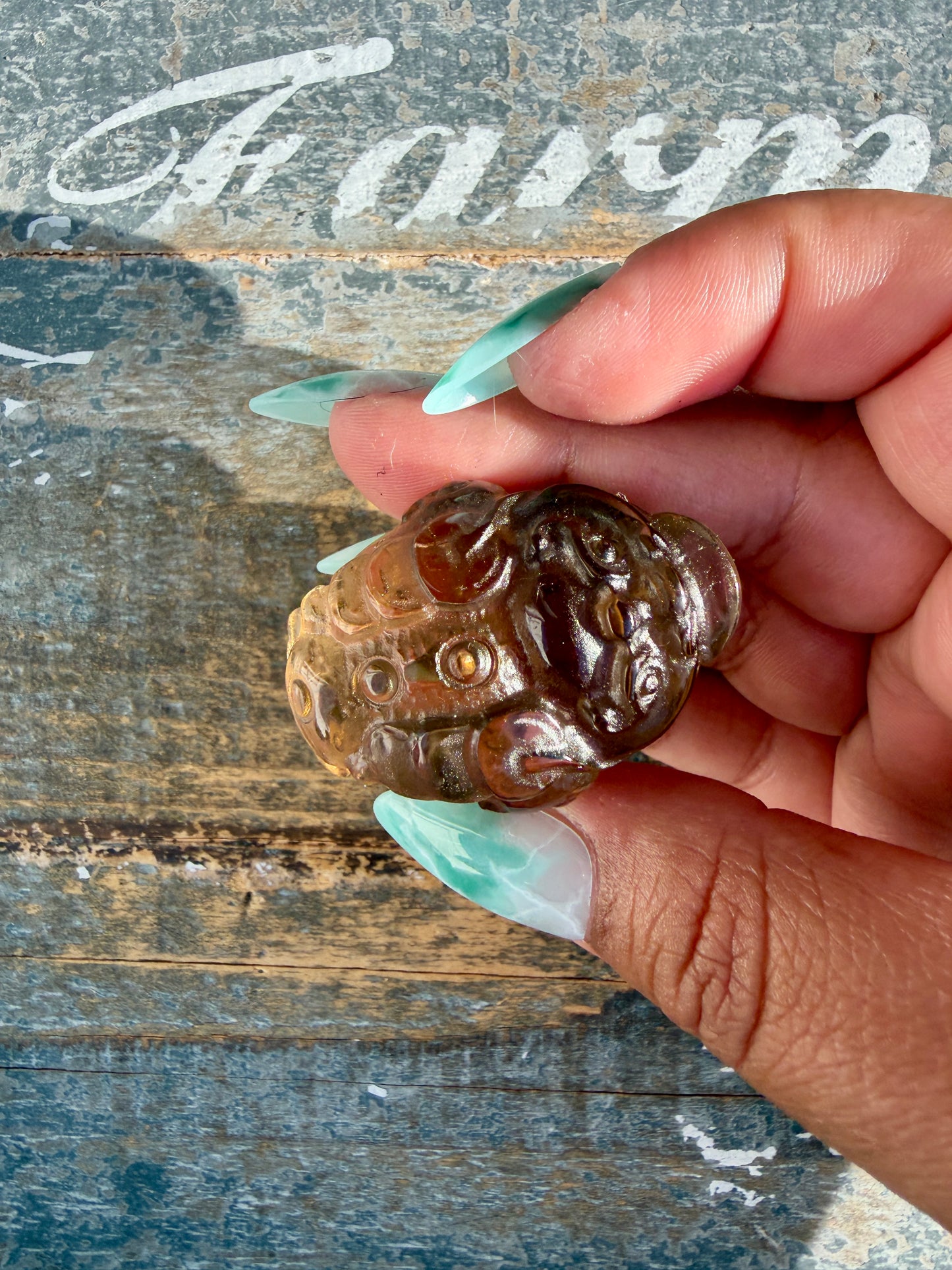Gorgeous Dark Smokey Quartz Money Toad | Opt P