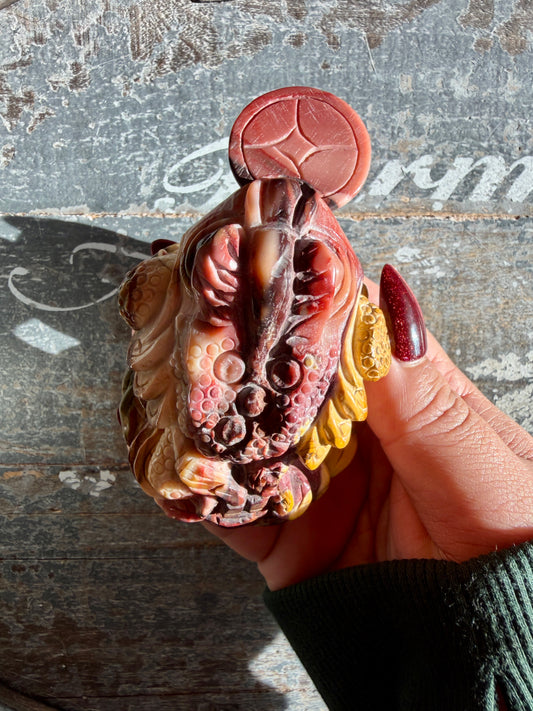 Gorgeous Mookaite Money Toad - Only One