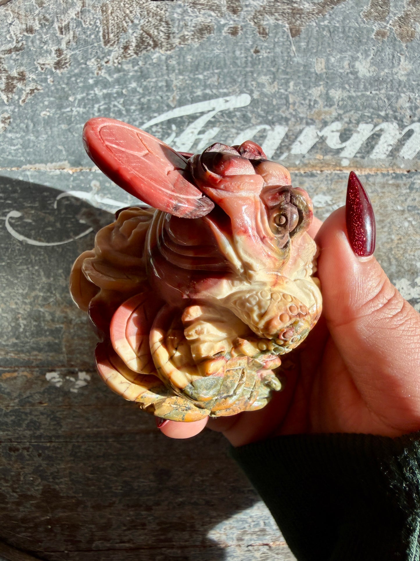 Gorgeous Mookaite Money Toad - Only One