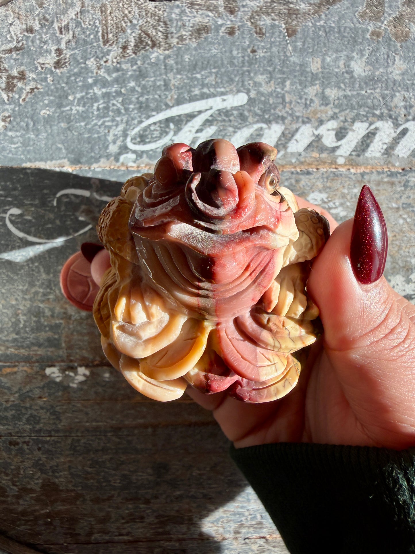 Gorgeous Mookaite Money Toad - Only One
