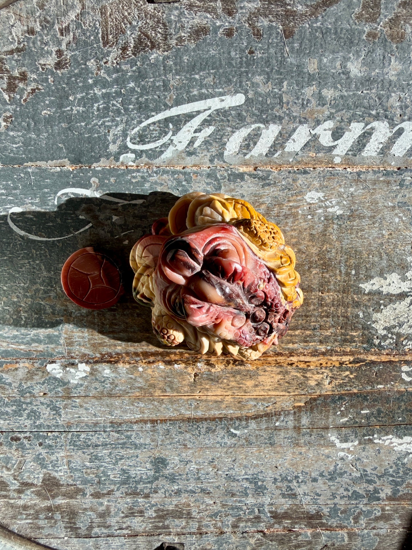 Gorgeous Mookaite Money Toad - Only One