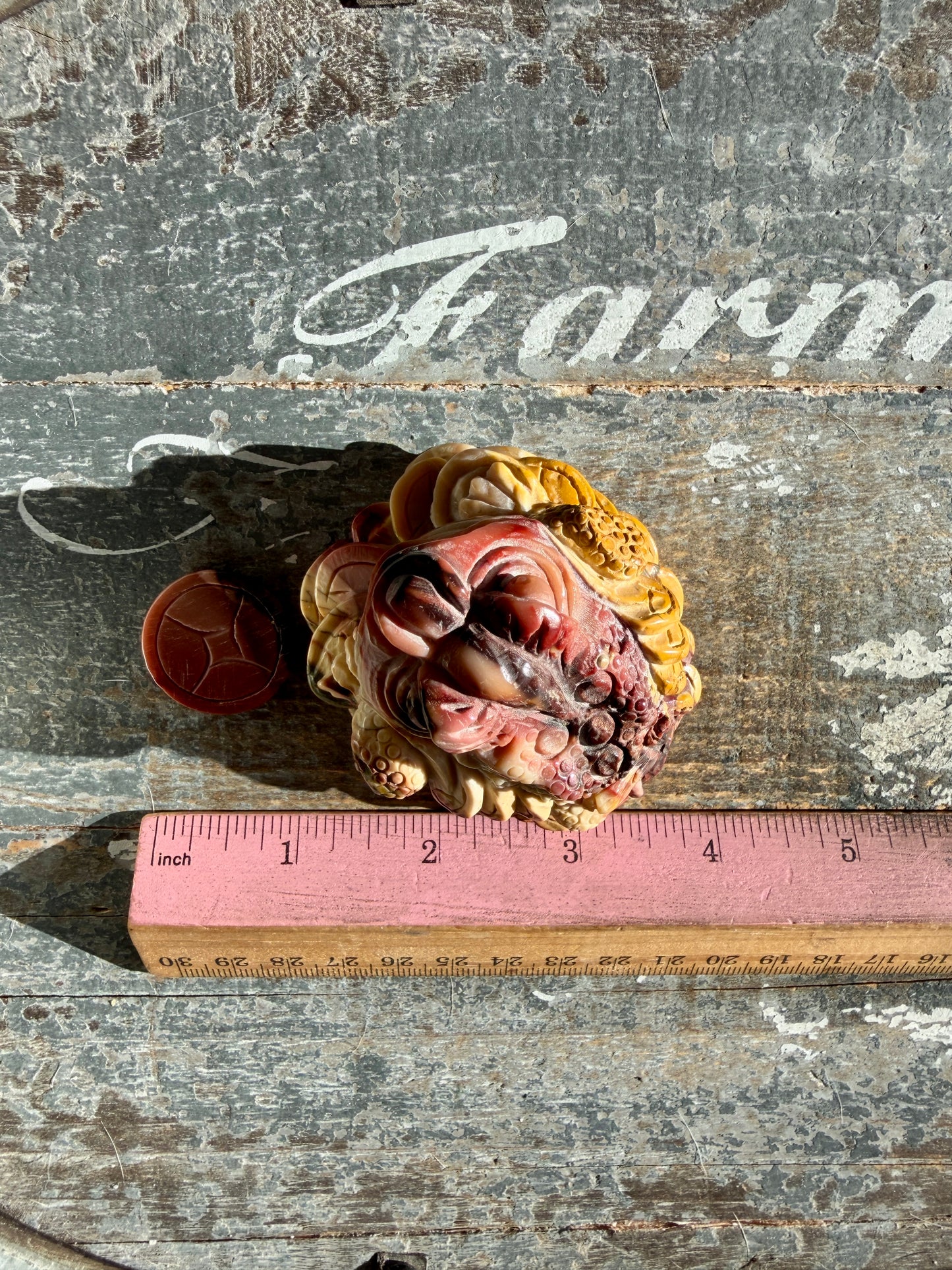 Gorgeous Mookaite Money Toad - Only One